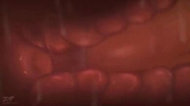 Pokemon's Charizard Explosion: A Compilation of its Hottest Scenes