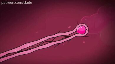 Clade: Lucario's Horny Foursome with Zoroark and Two Females