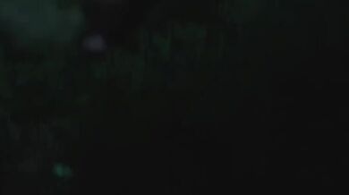 Splatter Flick: Intense Plague Tale Action Movie (NSFW Warning)