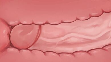 - Lusamine's For*ced Sexual Encounter with Lillie