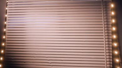 Mavis's Window or or Window Mavishttps://twitter.com/scrag_boy?lang=deWindow Mavis