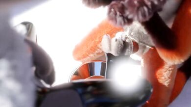 Judy's Reign of Domination: Why It's Hot and Worth Watching