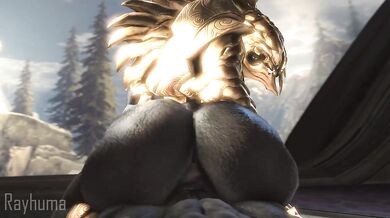 The Arbiter's Fuck Ride