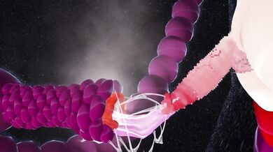 Tentacles Take Over: Futanari Limb-Binding Torment in 'Onaho'