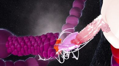 Tentacles Take Over: Futanari Limb-Binding Torment in 'Onaho'