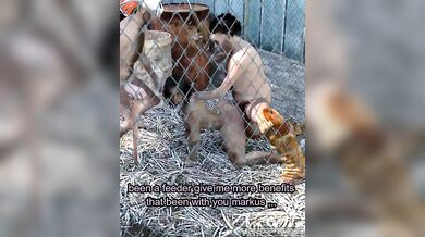 Dun Bogo: Family Matters - Girl's Life as a Slave and Her Ultimate Payment