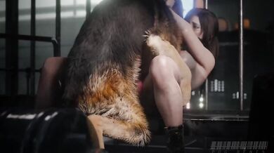 Bound and Gagged Canine Orgy