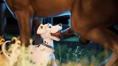 Furry Fuckers: A Feral FMV Experience