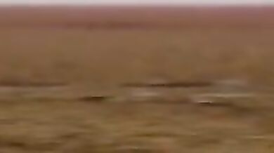 Horny Hentai Cutie 'Shimakaze' Gets Naughty in 'WiggleWiggle (B ver)' MMD R18 Video