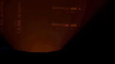 The Kleinvoimond Experiment: A Forensic Analysis of Sexual Intercourse