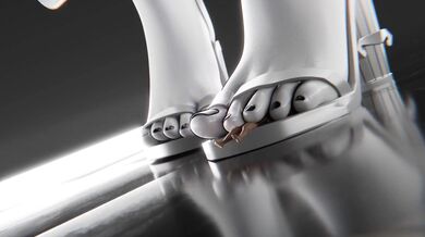 Diamond White: The Forbidden Desires of a Pure Maiden