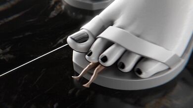 Diamond White: The Forbidden Desires of a Pure Maiden