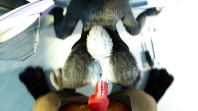 Nick's Stepsister Obsession - Hakya11