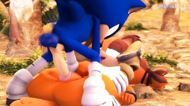 Sonic's Dick Dipshits [countersf]