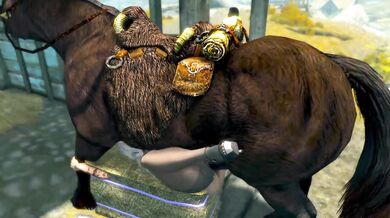 The Knight's Journey to Rid His Kingdom of a Curse.