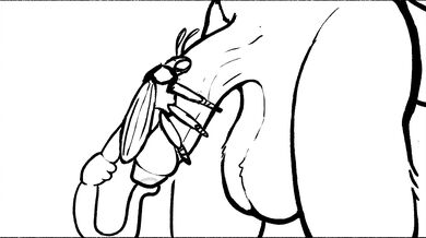 Fucking the qwaxi~lixard's Breeder with Multiple Cocks