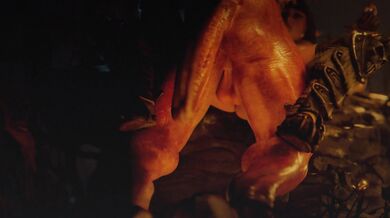 The Treasure Hunter's Fate: Becoming the Chased [Hentai Erotica]