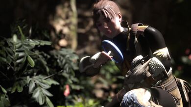 - The Pestering Parasite