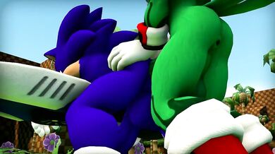 Jet the Hawk and Sonic Fuck in Mid-Air [Wector]