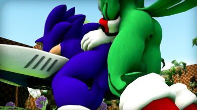 Jet the Hawk and Sonic Fuck in Mid-Air [Wector]