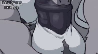 Burro Autofelación [El Lado Oscuro de la Descubierta]