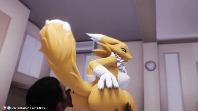 Renamon gets pounded in the butt