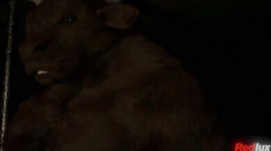 Rachel's Rampage of Ra*pe and Revenge