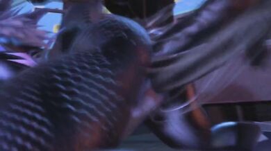 Slutty Anime Chicks Get Their Pussies Fucked in 'Kx2 HMV' by ShockOne