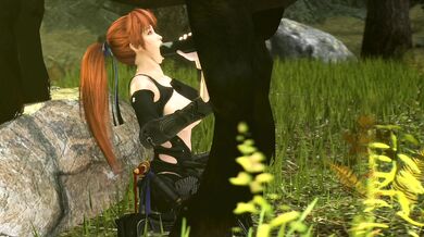 Stallion Invasion 2021: A Year of Endless Horsing Around