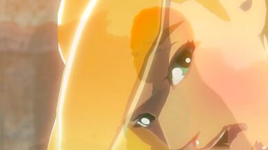 Sable Serviette - Bokoblin