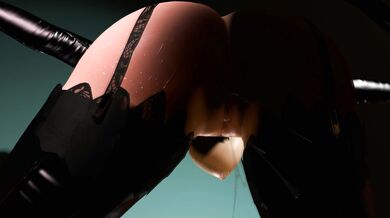 Rebirth of the Primula Virgo - The 3D Virtual Reality Sexual Experience