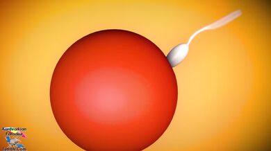 The Queen's Impregnation - LordAardvark's Kingdom