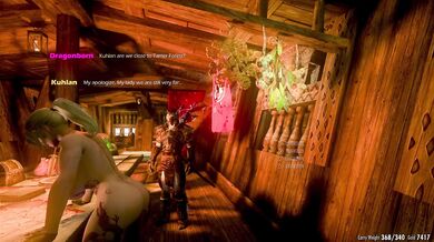 The Tail of the Dragon and the Mane of the Feline