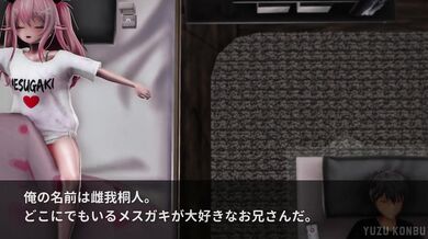 Slutty Princess from Another Dimension: The Yuzu Konbu Adventures