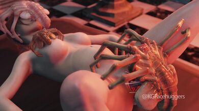 Lovebugs of Lustful Desire