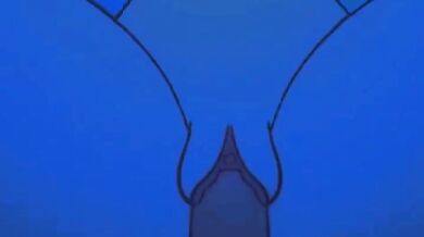 Blue Balls: A Tale of Unfulfilled Desire