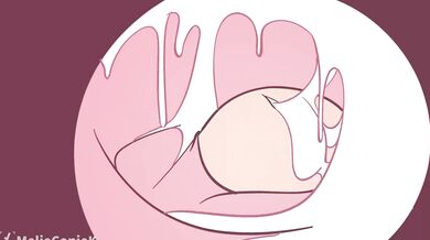 Jessica and Janelle's Sexual Adventures [Full HD] [High Speed]