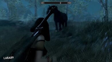 - Doggy Style Training at the Skyrim Animal Mansion
