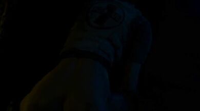 - 1. Infection Stage - 2. Incubation Stage - 2. Incubation Stage - 3. Mutation Stage - 3. Mutation Stage - 4. Decay and Transformation Stage - 4. Decay and Transformation Stage The T-Virus infection stages: From initial infection to full zombie t