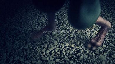 Night of the Dalmatians: Atelier KOB's Subbed Debauchery