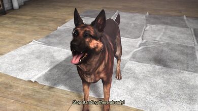 Thrusting Rachel's Slutty Side [Dicesfm]