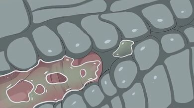 Sadistic Sadako Animation with the Yamamura Clan