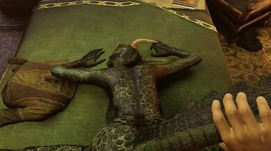 Rough Citizen's Fucking Argonian Girl