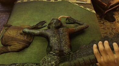 Rough Citizen's Fucking Argonian Girl