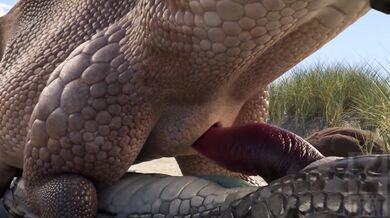 Porn Parody of My Little Pony and How to Train Your Dragon with Explosive Orgies! (NSFW)