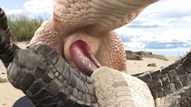 Porn Parody of My Little Pony and How to Train Your Dragon with Explosive Orgies! (NSFW)