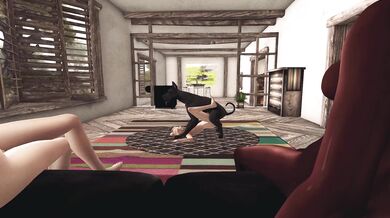 Max & The Great Dane's V.E.N.U.S.