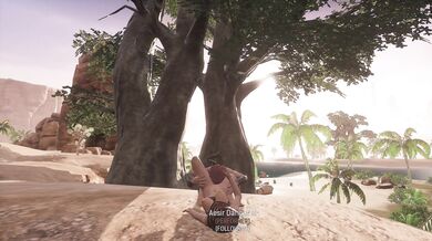 Conan Exiles - Naughty Time on My Laptop's Tiny Screen