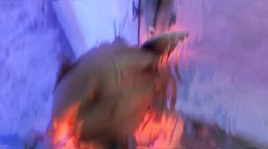 Sylvie's Wet and Naked in the Steamy Shower Room [LilyD3D]