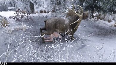 Feliz Navidad Anal Sexual Sauvage (Skyrim)